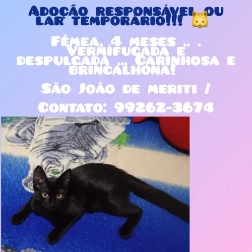 Adoção responsável