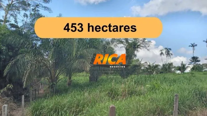 Excelente fazenda com 453 hectares no município de Boca Acre -AM