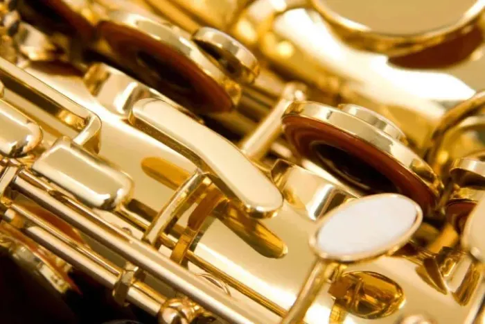 Saxofone Alto EAGLE SA 501 Laqueado Mib Maleta Luxo