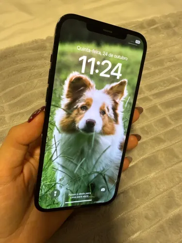 Iphone 12 pro max 256gb usado