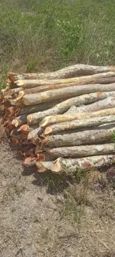 Estacas para cerca sabia