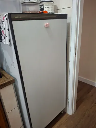 geladeira Brastemp 110