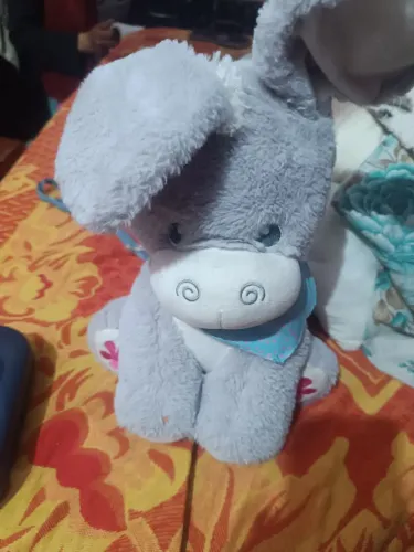 Burrinho falantes 
