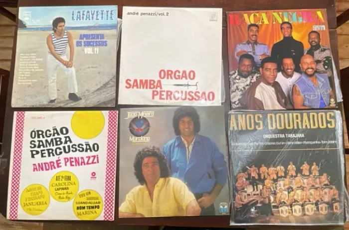 Lote 6 LPs de Vinil - Música Brasileira - Raça Negra, João Mineiro, Lafayette e Mais