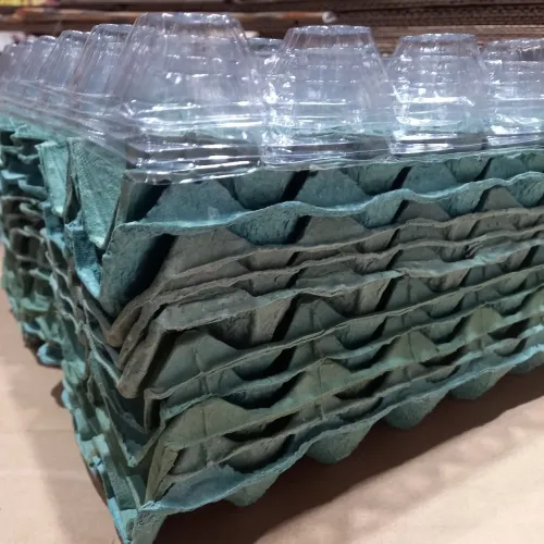 Cartelas de ovos 30 unidades, 2.00 reais cada, entregamos. 