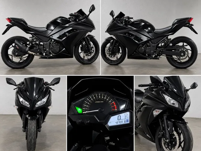 Kawasaki Ninja 300 2015