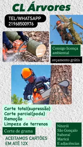 Corte de árvore e poda 