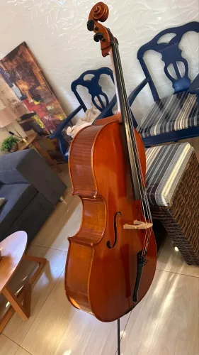 VIOLONCELO MONTGNANA.