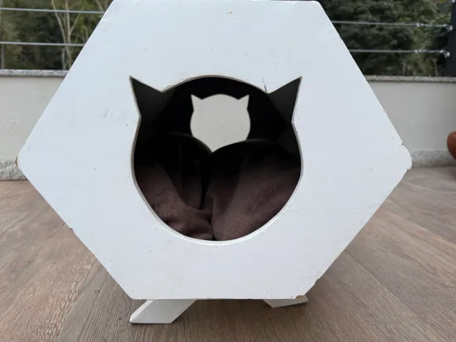 Casinha de gato