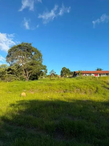 Terreno à venda, 4000 m² por R$ 290.000 - Serrote - Salesópolis/SP