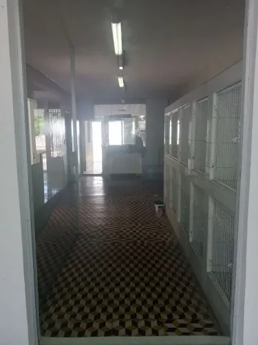 2 Vidros temperados para vender