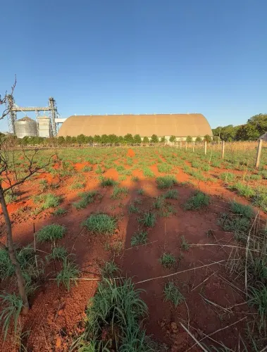 VENDO chácara urbana de 5.000m² no fundo da CARGILL em Figueirópolis-TO. 