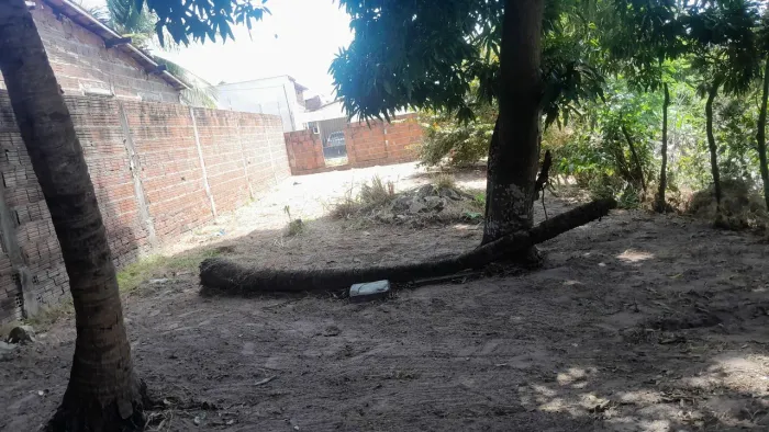 Terreno 8x23