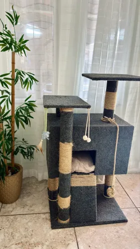 Casinha de gato