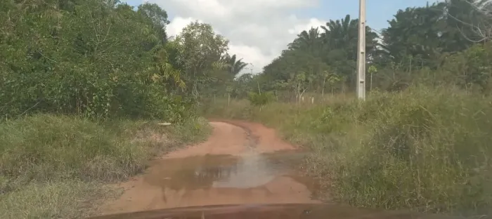 Sítio (terra nua) próximo a CONPEL, em Mumbaba, rua calçada, 1,5 hectare.