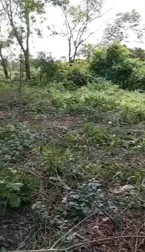 VENDO TERRENO RURAL EM GOIÂNIA-GO