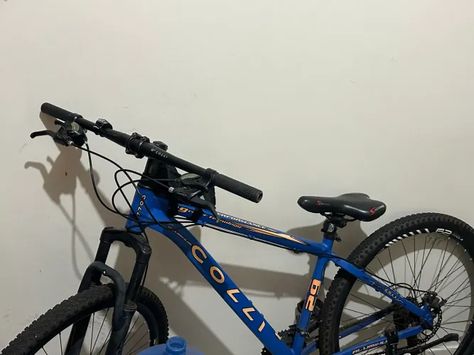 Bicicleta aro 29