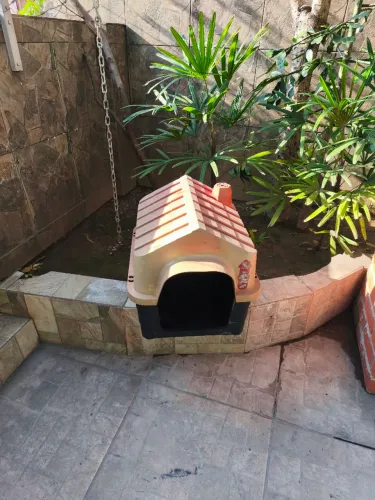 CASINHA DE CACHORRO