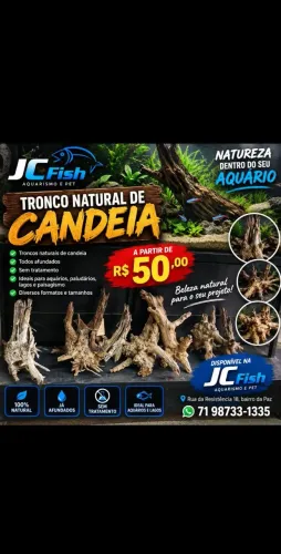 Tronco natural para aquario