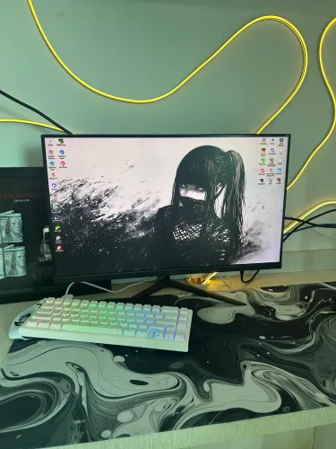 Monitor Athen V2L 24?