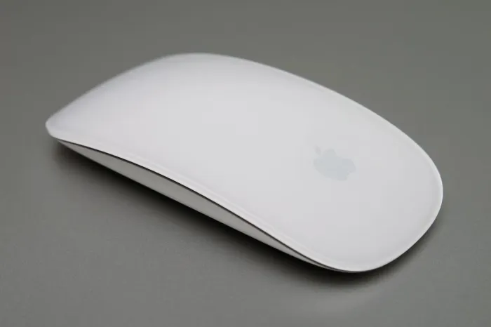 Magic mouse 2