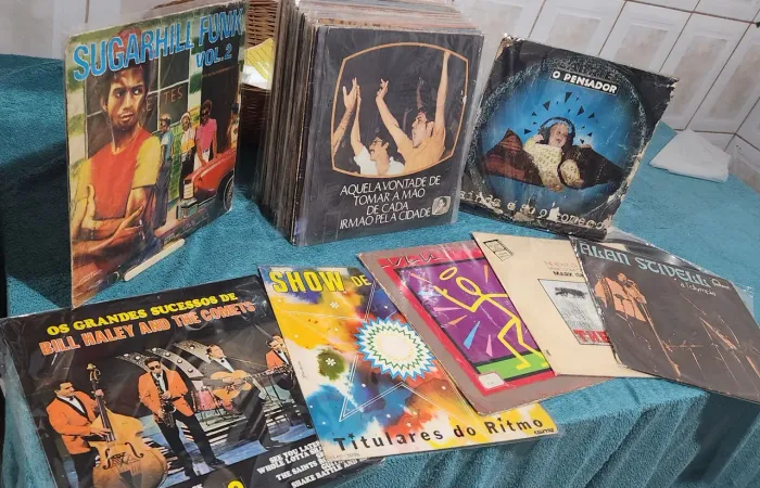 Lote 41 discos de vinil variados lp