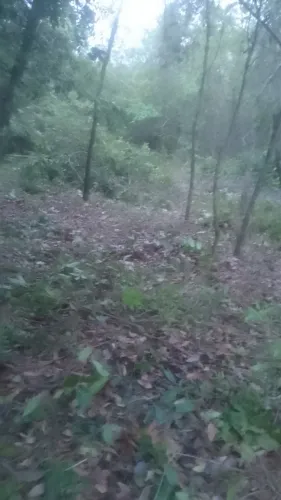 Vendo sítio e um terreno 200000 mil metros quadrados e um de 540 metros quadrados ou troco