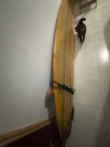 Prancha Longboard 