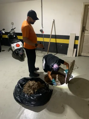 Dedetização 