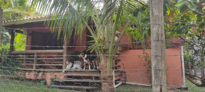 CASA EM BOIPEBA,2 quartos