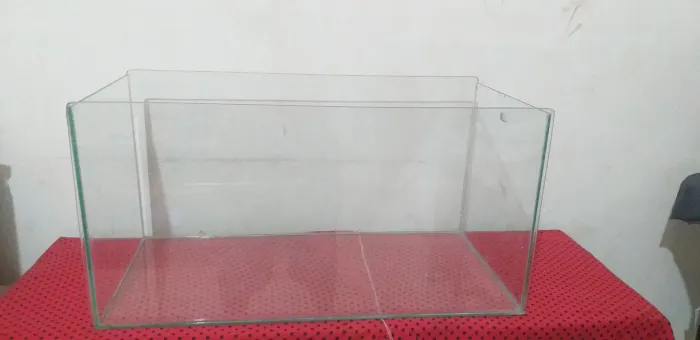 Caixa De vidro ideal para por hamster