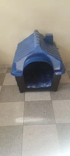 Casinha para pet