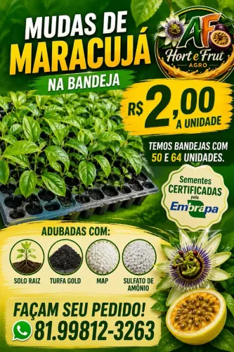 Bandeja de mudas de maracujá