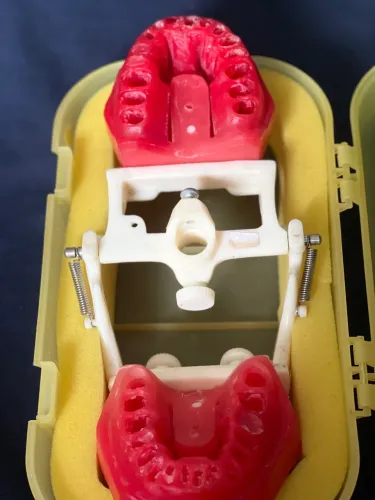 Manequim odontológico