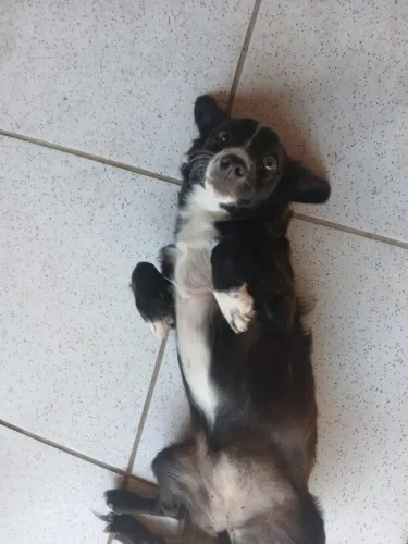 Doação