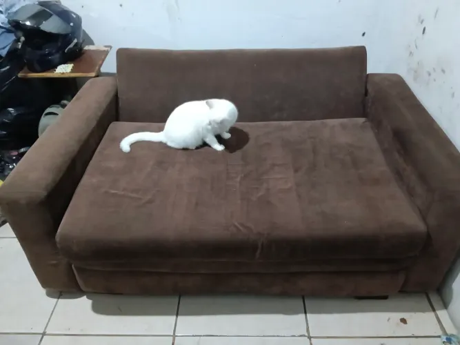 SOFÁ CAMA RETRÁTIL
