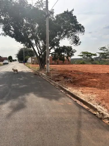 Terreno plano pronto pra construir