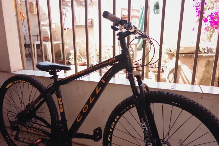 BUCICLETA COLLI ARO 29