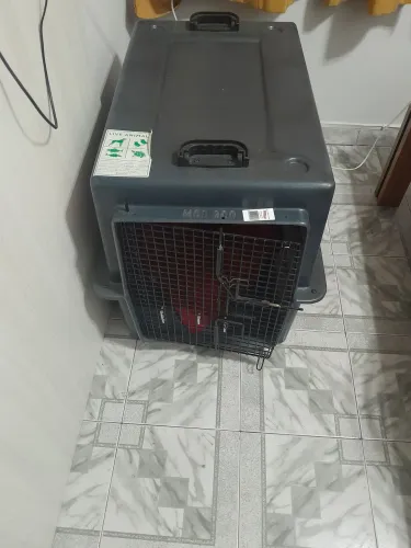 Vendo um transporte de cachorro ? grande e confortável