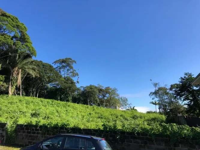 TERRENO no ANITA GARIBALDI com 0 quartos para VENDA, 4813 m²