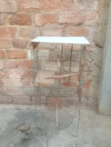 Gaiola