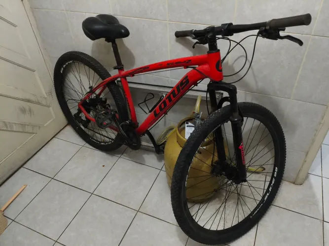 Bicicleta