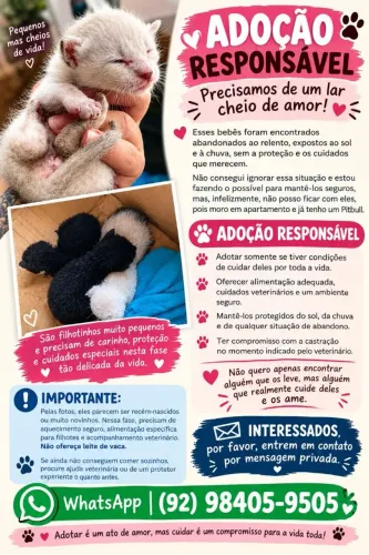 Adoção Responsável 