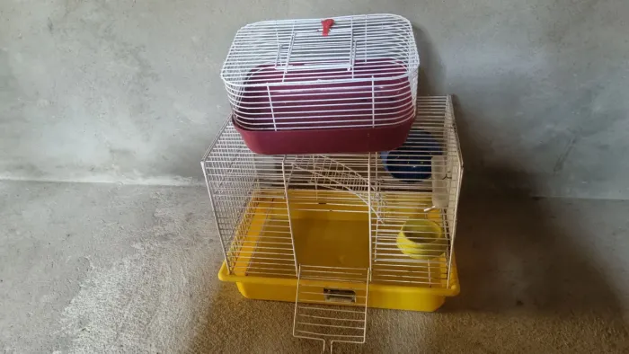 Gaiola para hamster 
