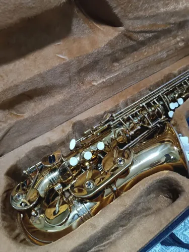 Sax alto dolphin