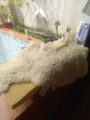 Tapetes em Lãs de carneiro
