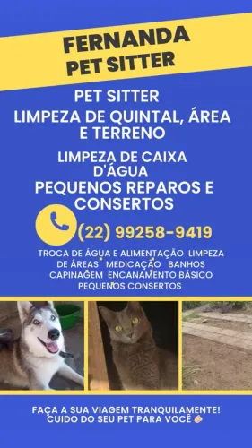 Pet sitter e serviços domésticos 