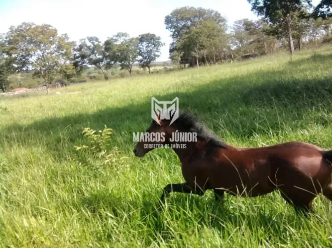 EXCELENTE FAZENDA NO NORTE DE MINAS EM SÃO JOAO DA PONTE DE 80 ALQUIRES FORMADA
