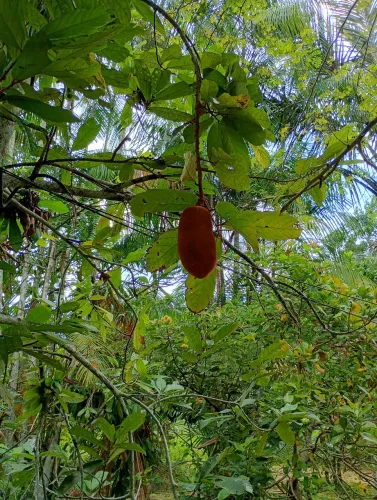 Vendo um lindo terreno 90 mil