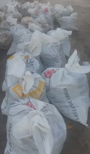 Adubo de galinha de postura (saco grande) 